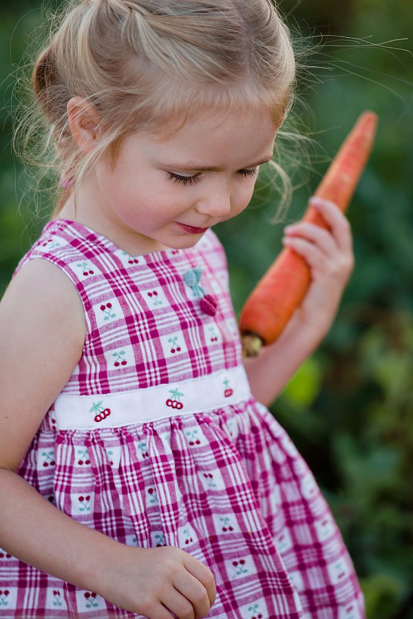 family-photographers-charlotte-nc.jpg family photographers charlotte nc girl at farm
