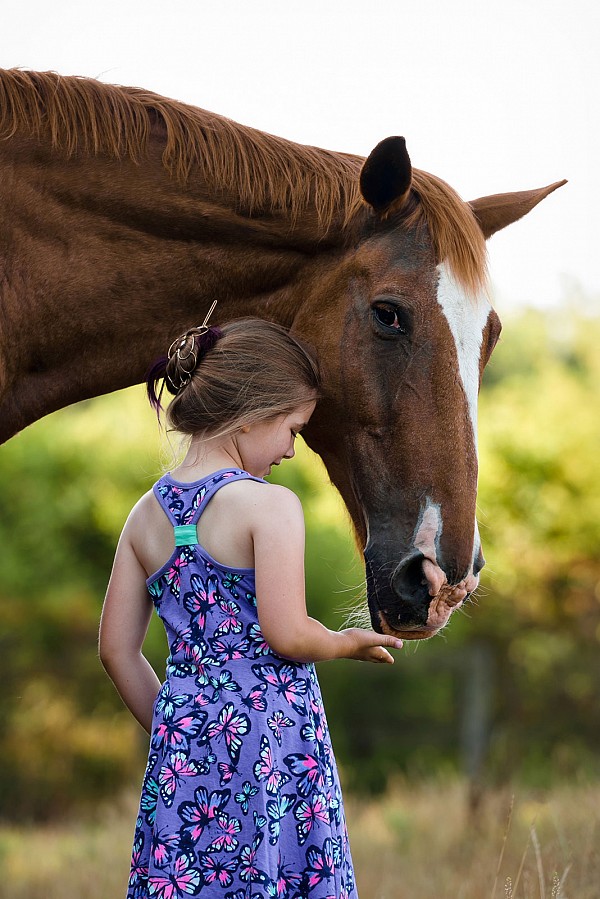 natural-light-child-photographer-girl-with-horse.jpg Natural light portrait girl with horse